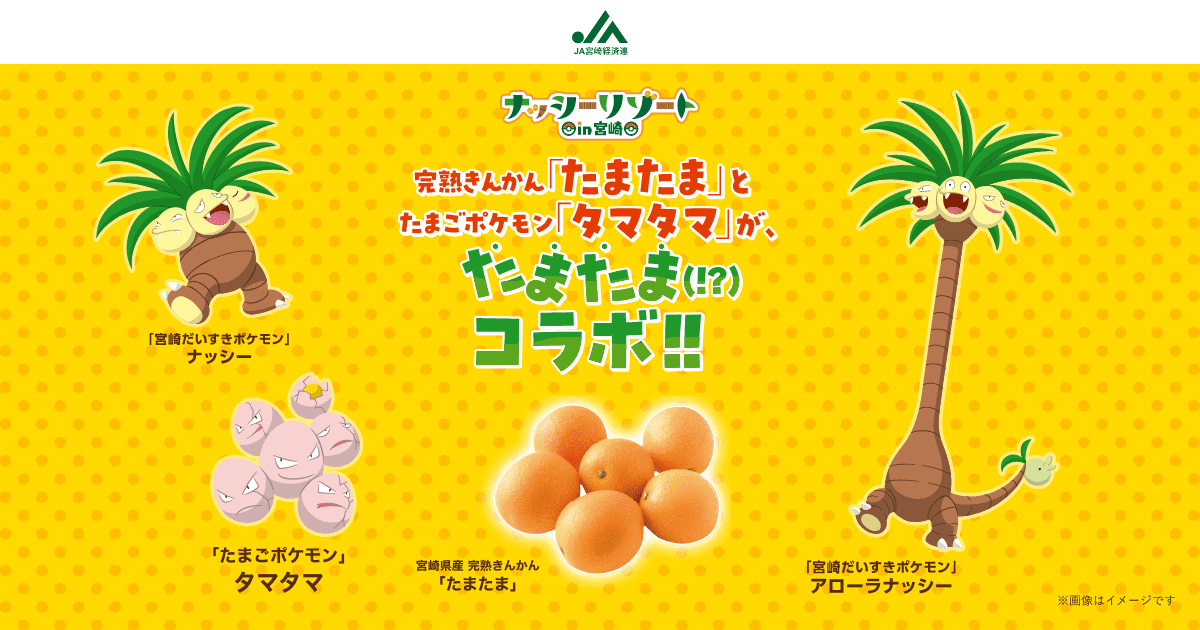 完熟きんかん「たまたま」とたまごポケモン「タマタマ」がたまたま（!?）コラボ!! | JA宮崎経済連園芸部